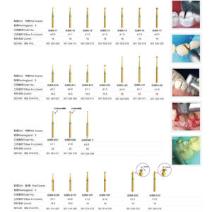 Toboom BR-D21 <span class=keywords><strong>Bur</strong></span> gigi Grit Kasar setengah kasar alat kerja bulat listrik logam Shanghai Roland profesional produsen panas - Product Image 6