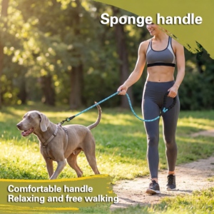 Guinzaglio per Cani in Nylon Riflettente di Lusso in Pronta Consegna Personalizzato per Cani di Taglia Media e Grande ad Alta Resistenza alla Trazione alla Moda Regolabile Tinta Unita - Product Image 1