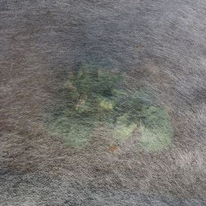 Couverture polaire agricole respirante pp paillis non tissé tissu non tissé tissu <span class=keywords><strong>de</strong></span> mauvaises herbes non tissé tapis <span class=keywords><strong>de</strong></span> mauvaises herbes non tissé en polypropylène - Product Image 6