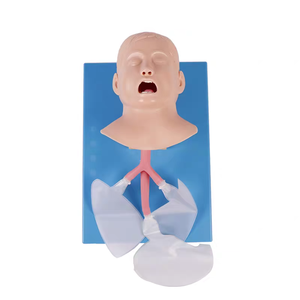 Mô hình huấn luyện y tế ADA-J4A dành cho sinh viên học <span class=keywords><strong>CPR</strong></span> đường thở người và đặt nội khí quản trẻ em, chất liệu PVC, dùng cho trường học - Product Image 1