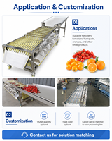 YUMO YUMO-QFS280 Automatische Tracktype Fruit Sorteermachine Kersentomaat Sinaasappel Kumquat Maatclassificatie Sorteerder