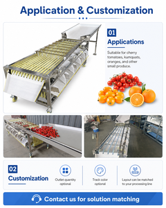 Máquina Automática de Clasificación de Frutas por Tamaño, para Tomate Cherry, Naranja y Kumquat - Product Image 2