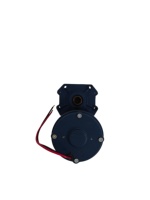 Motor Gear Brushed Magnet Permanen 12V 24V 48V 350W 600W 800W 40rpm dengan Torsi 19.1Nm, Rating IP65, untuk Mesin Pemotong Rumput Remote Control Komersial