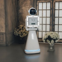 Robot Fotográfico Humanoide AI Amy Plus Compatible con iPad, con Impresión de Autoservicio para Hoteles, Supermercados, Aeropuertos y Estaciones de Tren