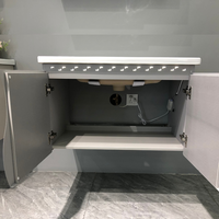 Meuble de salle de bain moderne en acier inoxydable résistant à l'humidité avec lavabo mural en céramique et miroir lumineux – Ensemble de meubles de salle de bain