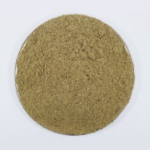 Polvere di Mosca Soldato Nera Sgrassata Bioforte OEM, ad Alto Contenuto Proteico, Additivo Alimentare per Draghi Barbuti, Gechi Leopardati e Rettili - Product Image 2