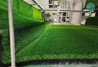 Gazon synthétique Sinoturf pour football, tapis de gazon artificiel, 60 mm