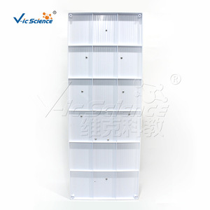Modèle du système nerveux humain VIC-N011, modèle d'enseignement médical - Product Image 3
