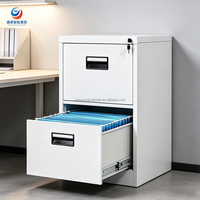 Armoire de classement verticale ignifuge avec revêtement résistant à la chaleur, protection sécurisée des données, rangement de bureau