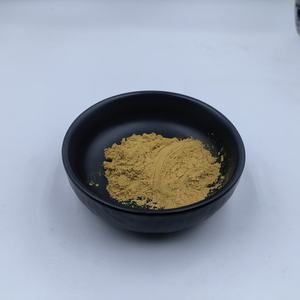 Fournisseur d'usine Extrait de feuille de Ginkgo biloba naturel Flavonoïdes 24% Lactone 6% Poudre - Product Image 2