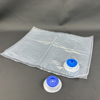 Sac en boîte aseptique personnalisé de 5 L, 10 L, en aluminium, 4 gallons, pour jus, sauce tomate, sirop, crème, liquide, œufs, emballage en plastique BIB