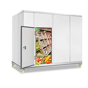 Industrial cold room freezer for Vegetables fresh tea refrigerated meat walk in freezer