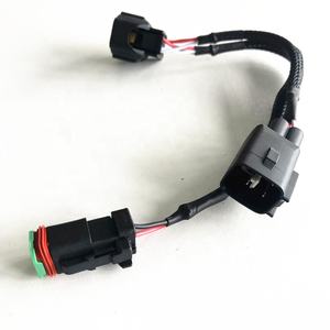 Montaje de cable electrónico personalizado, DT04-2P-E004 de <span class=keywords><strong>2</strong></span> pines - Product Image 2