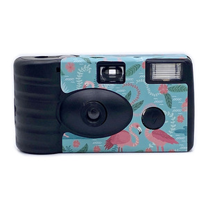 Hot <b>Sale</b> Single Use Custom Wholesale Disposable Camera With <b>Flash</b> 35mm Film Vintage White Single-use Funsaver Bulk Wholesale Dis - Product Image 1