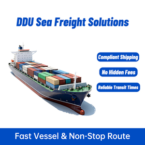 Agente de Carga Marítima de China a Japón, Transporte Marítimo + Entrega Puerta a Puerta DDU Express, Logística 7x24 Horas - Product Image 2