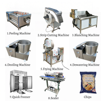 Complete semi-automatische diepvriesfrieten verwerkingslijn 200kg/u 304SS aardappelchipsmachine voor snackfabriek