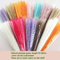Rumput Pampas Kecil Gaya Bohemian Banyak Warna Bunga Kering Alami Dekorasi untuk Pernikahan Dekorasi Rumah