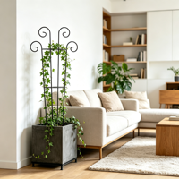 Treillis de jardin élégant en métal conique à sommet incurvé, résistant à la rouille et aux intempéries, robuste, pour patio, balcon, hôtel, vente en gros, OEM
