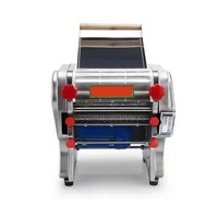 Machine professionnelle de fabrication de nouilles, facile à utiliser, manuelle, presse à pâtes, coupe-pâtes, pour un usage domestique
