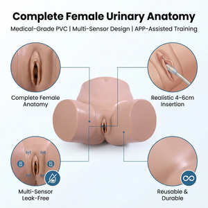 Modelo Avanzado de Cateterización Femenina, Maniquí de Enseñanza y Entrenamiento Médico para Hospitales, Estudiantes de Medicina o Enfermeras - Product Image 2