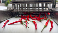 Industriële fruitdrooglijn, fruit snijmachine, chili verwerkingsmachines