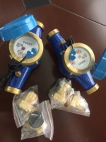 Sensor Reed Switch Output Pulsa 1L/P 10L/P 100L/P yang Dapat Disesuaikan untuk Meter Air Dingin/Panas Instalasi Horizontal Perlindungan IP68