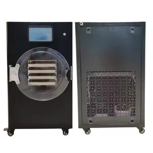 Mini Liofilizador de Alimentos para Uso Doméstico, Control Digital, Fácil Operación, Máquina de Secado por Congelación - Product Image 3