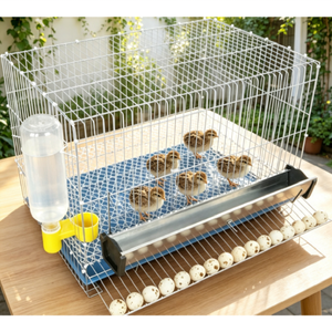 Jaula Portátil Reforzada Galvanizada para Recolección <span class=keywords><strong>de</strong></span> Huevos <span class=keywords><strong>de</strong></span> Aves <span class=keywords><strong>de</strong></span> Corral para Operaciones Comerciales <span class=keywords><strong>de</strong></span> Avicultura - Product Image 4