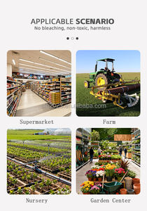 Fixation du filet : piquets en bois biodégradable modernes et jetables en bouleau pour jardin, ferme et serre - Product Image 3