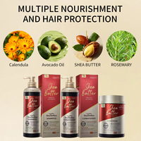 Crème de beurre de karité, shampooing, après-shampoing, masque capillaire, hydratant, nourrissant, réparateur, sans sulfate, traitement 2 en 1 pour cheveux secs et abîmés