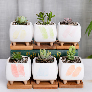 Blanc Céramique Pots Succulents Mignon Planteur <span class=keywords><strong>De</strong></span> Cactus Avec Jambes Petits Conteneurs D'usines <span class=keywords><strong>De</strong></span> Fleurs pour La Décoration In - Product Image 3