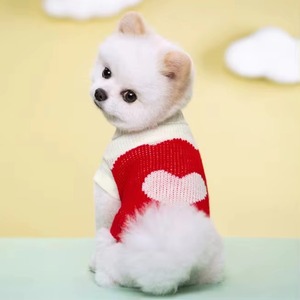 Jouet pour chien en tissu de laine, design rayé multicolore, accessoire interactif pour animaux de compagnie, pour chats et chiens, saison des fêtes - Product Image 4