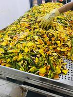 Grote uitverkoop Biologische gedroogde fruitmix met wortel en tropische groenten Hoge kwaliteit uit Lam Dong, Vietnam