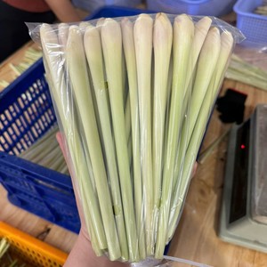 Proveedor y Exportador de Hierba Limón Fresca – Alta Calidad a Precios Competitivos, Hierba Natural Pura para Cocinar y Preparar Tés - Product Image 3