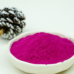 Polvo de Fruta de <span class=keywords><strong>Cactus</strong></span> Instantáneo Liofilizado Concentrado Natural Puro de Grado Alimenticio para Venta al por Mayor - Oferta Directa - Product Image 6