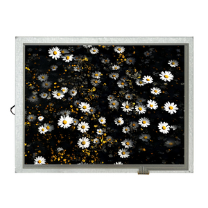 8 inch cảm ứng LCD hiển thị bảng điều chỉnh 800*600 Độ phân giải TFT LCD module với cảm ứng điện trở cho ngành công nghiệp ứng dụng - Product Image 3