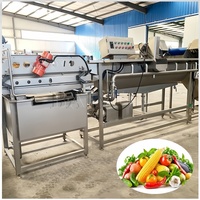 Productielijn voor het reinigen van ingelegde groenten en fruit