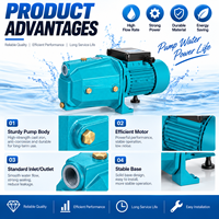 Pompe à jet auto-amorçante électrique SN, pompe à eau de surface en fonte pour l'irrigation domestique et les puits