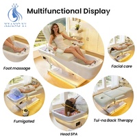 Table de massage de beauté, lit pour extensions de cils, fauteuil de lavage pour salon de coiffure, fauteuil de pédicure, lit de spa coréen pour le cuir chevel