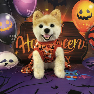 Nuovo Vestito Gotico <span class=keywords><strong>da</strong></span> Principessa Arancione in Poliestere per Cani, Costume di Halloween con Lanterna a <span class=keywords><strong>Zucca</strong></span>, Fiocco in Raso, Gonna Senza Maniche, per l'Autunno - Product Image 4