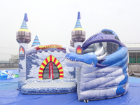 Château Gonflable Combiné 6x6x4.5m avec Toboggan pour Location Commerciale et Fêtes