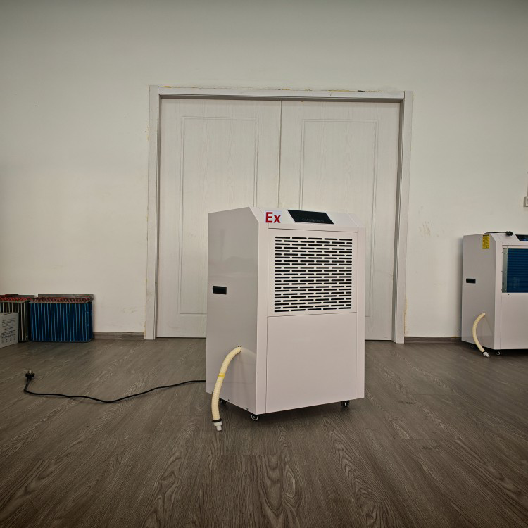 138L/D Explosion-proof Dehumidifier Moisture Remover with Imported ...