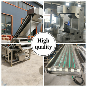 Nastro trasportatore inclinato per letame, pressa vulcanizzatrice usata, banco cassa con macchina smerigliatrice per coclea flessibile - Product Image 2