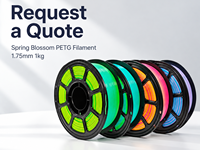 Rainbow Gradient PETG Filament 1.75mm 1kg Spring Blossom Mix for Retail Sellers