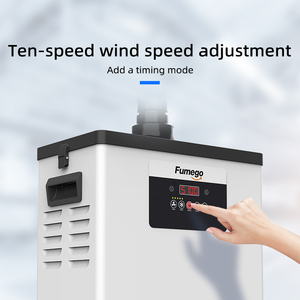 Mới Xách Tay 200W Đôi Đầu Hút Fume Vắt Bộ Lọc HEPA Thiết Bị Làm Sạch Hiệu Quả 99.97% Cho Laser Kim Loại Hàn - Product Image 4