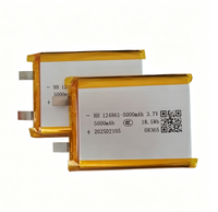 124861 Baterai Lithium Cair 5000mAh Daya Tahan Tinggi Digital Ternary LiNiMnCoO2 500 Siklus Suhu Operasi Sel Universal