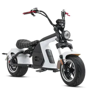 新欧洲库存EEC批准的2轮M8电动踏板车摩托车城市可可2000W 60V 20Ah电池电动踏板车