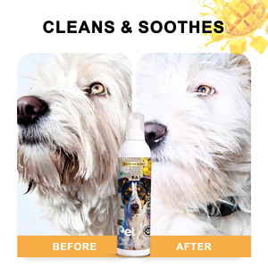 Champú y Acondicionador Personalizados para Mascotas, Champú Suave y No Irritante con Aroma y Sabor a <span class=keywords><strong>Mango</strong></span> para Perros y Gatos - Product Image 4