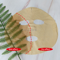 Proyons OEM Vente en gros Soins de la peau 100% Aloe Vera Fibre Non-tissée Masques faciaux en papier sec 220x200mm pour usage facial