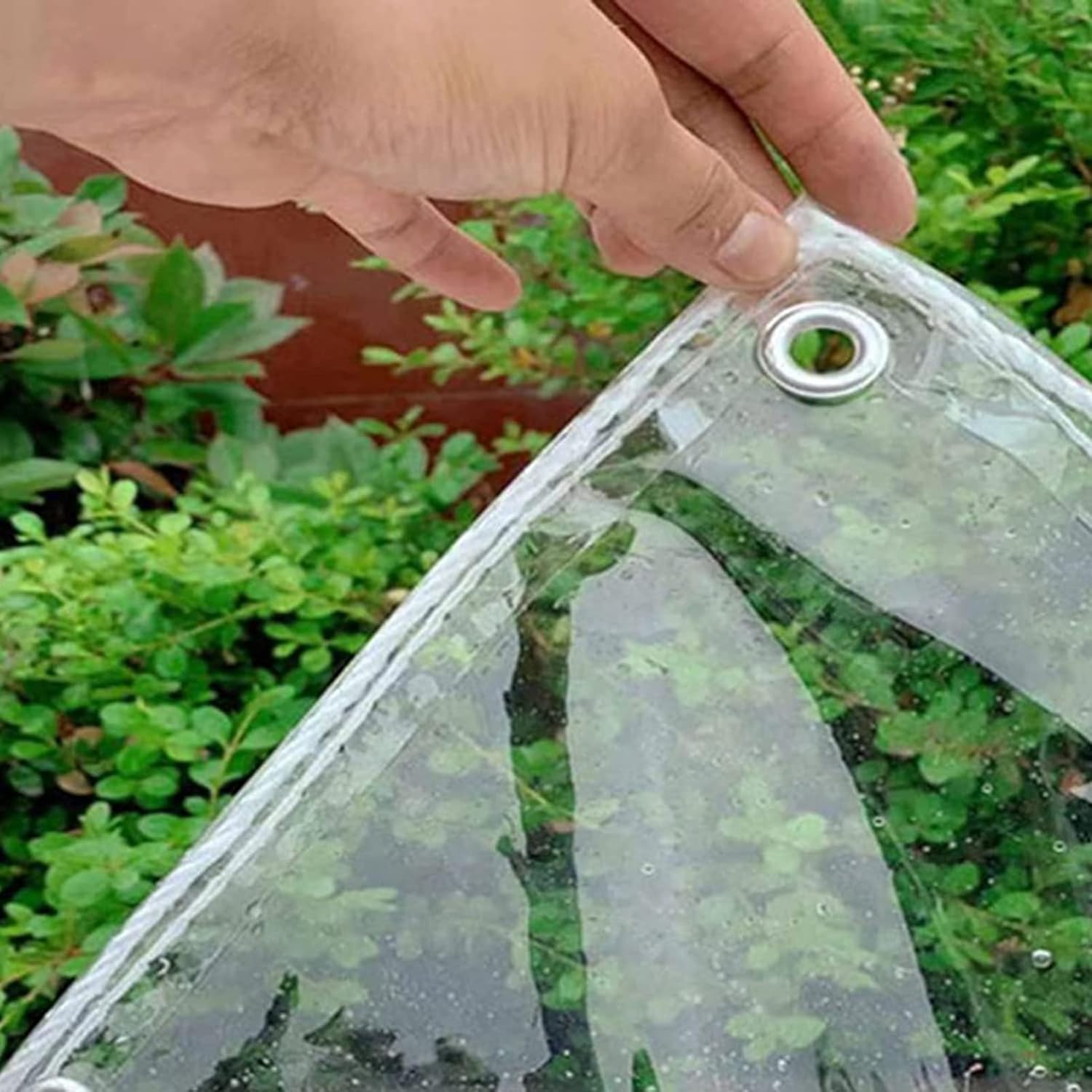 Transparent